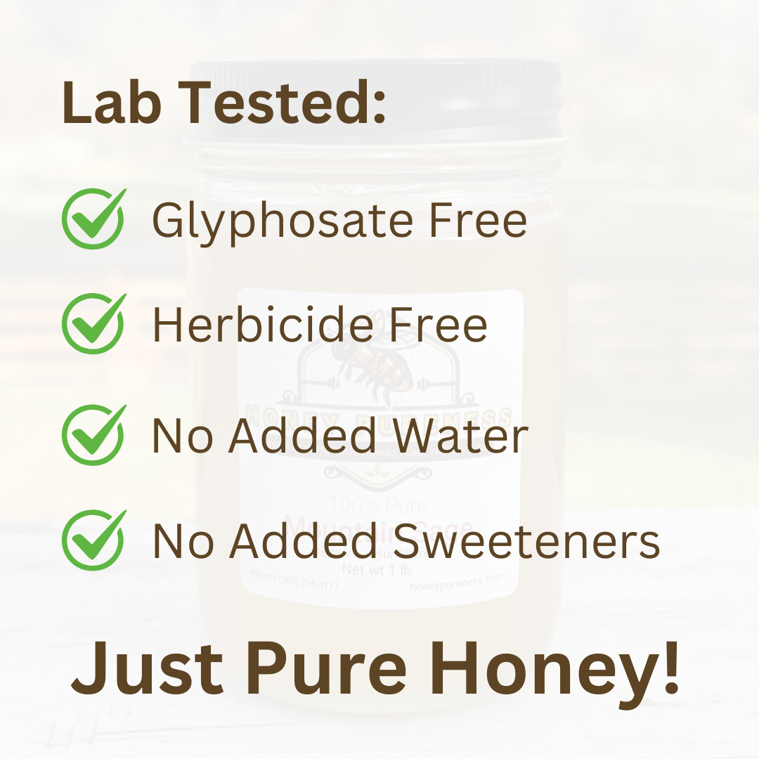 Raw Canadian Creamed Honey