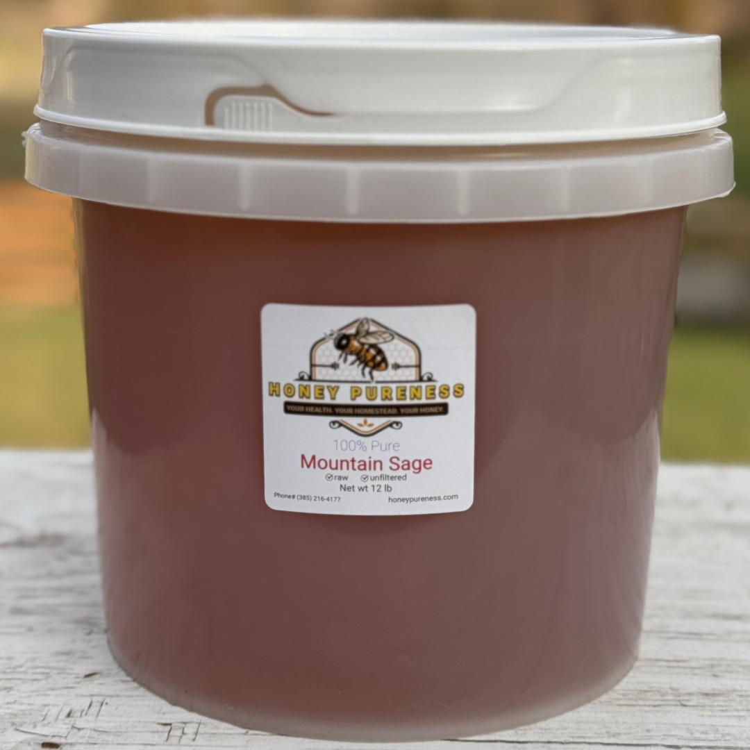 Raw USA Mountain Sage Honey