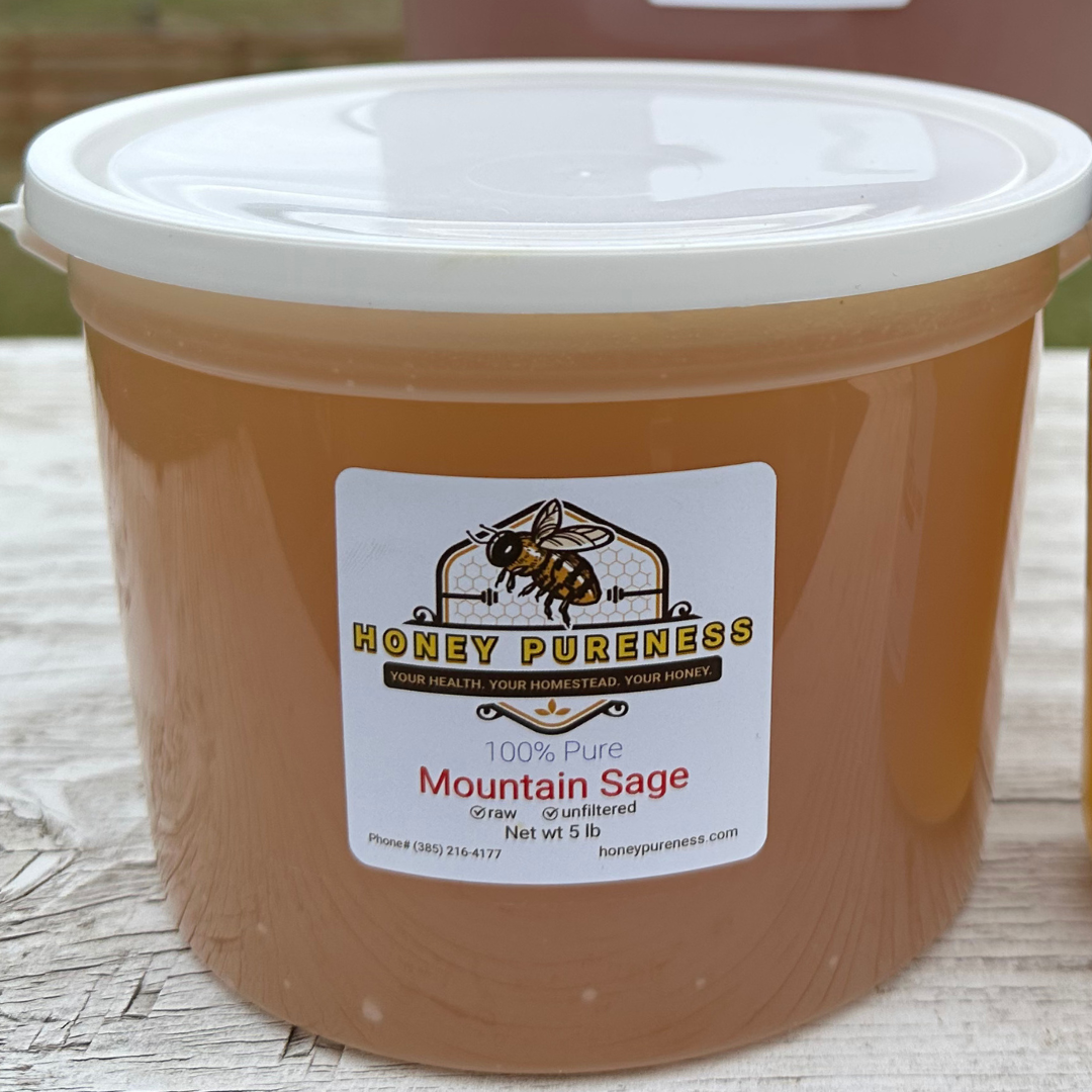 Raw USA Mountain Sage Honey