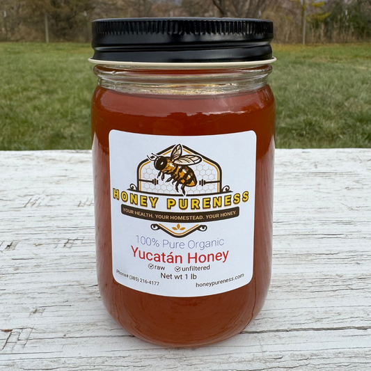 Raw Organic Yucatán Honey
