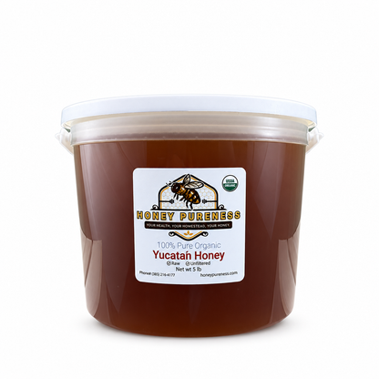 Raw Organic Yucatán honey 5 lb bucket on a white background