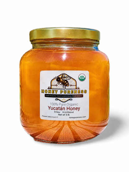 Raw Organic Yucatán honey 5 lb glass jar